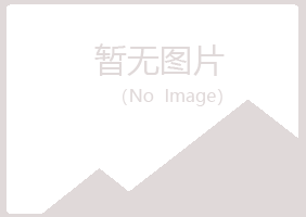 中山凝阳化学有限公司